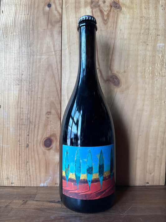 Terrevive No Autoclave Lambrusco dell'Emilia Rosso 2022