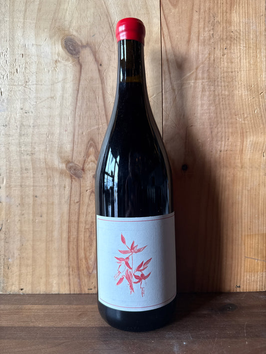 Arnot-Roberts Peter Martin Ray Vineyard Pinot Noir 2023