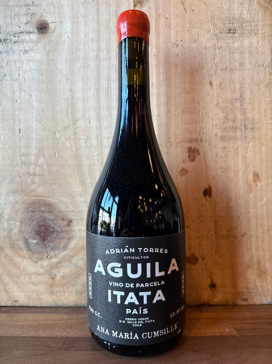 Ana Maria Cumsille Aguila Pais 2023