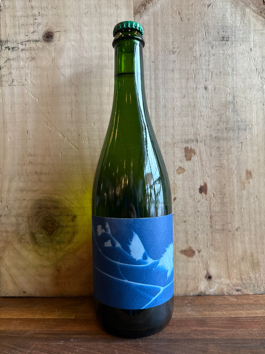 Thomas Puechavy Le Rayon VdF Loire Blanc 2022