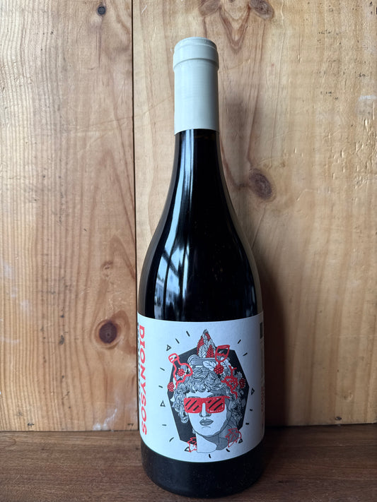 Coup de Jus Dionysus Is On Fire Gamay 2022