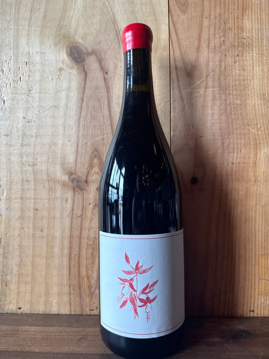 Arnot-Roberts Fox Creek Vineyard Pinot Noir 2023