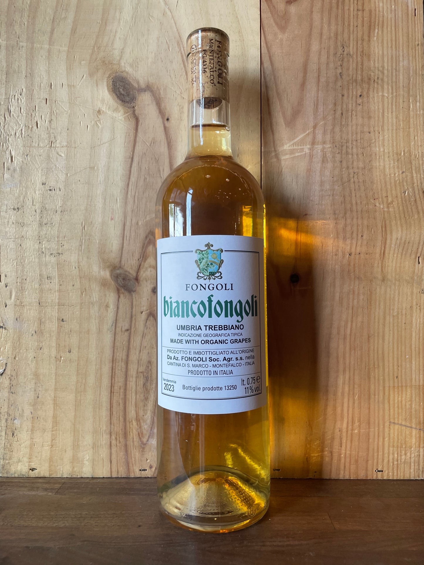 Fongoli Biancofongoli 2023