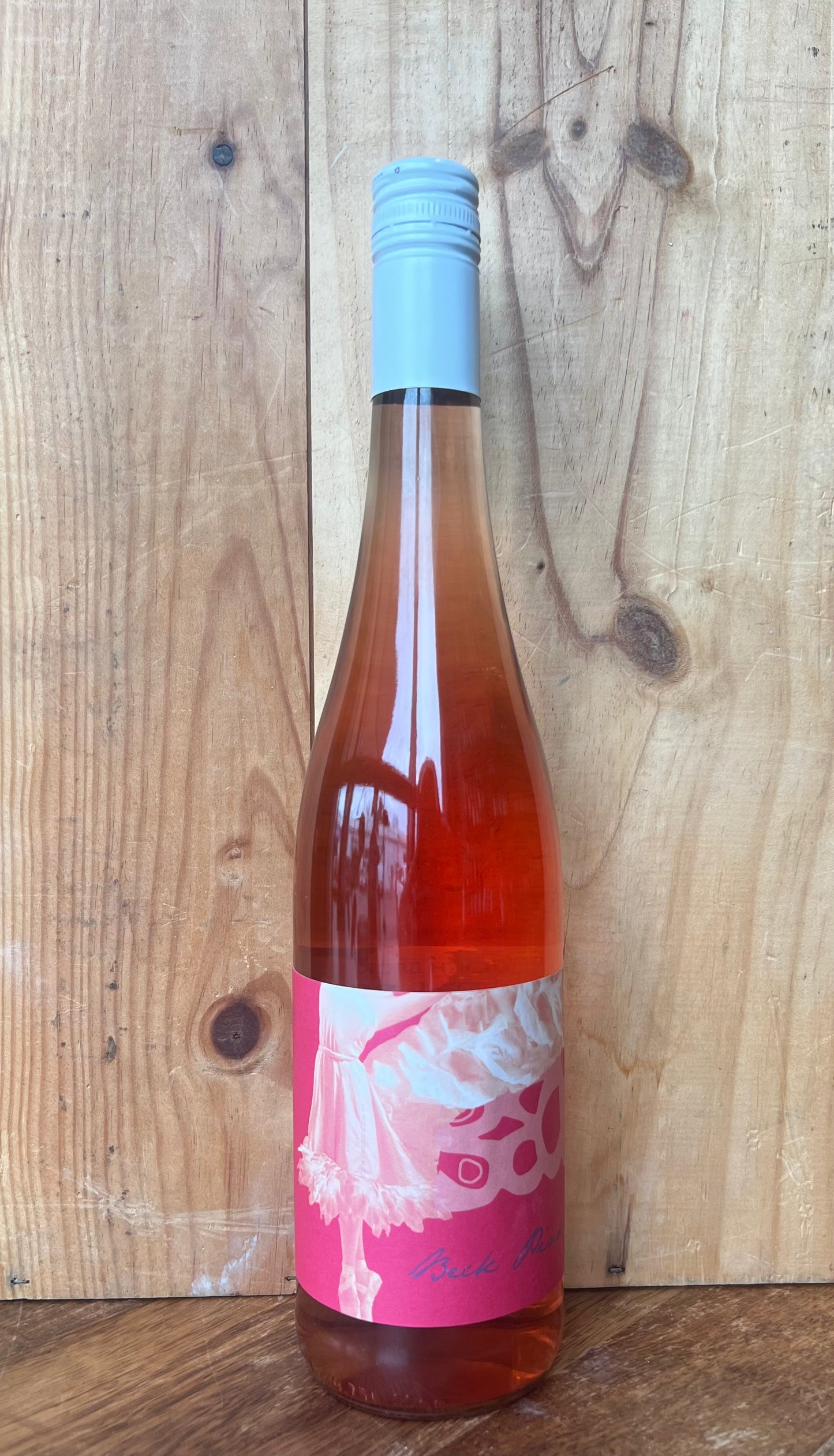 Judith Beck Pink Rose 2024