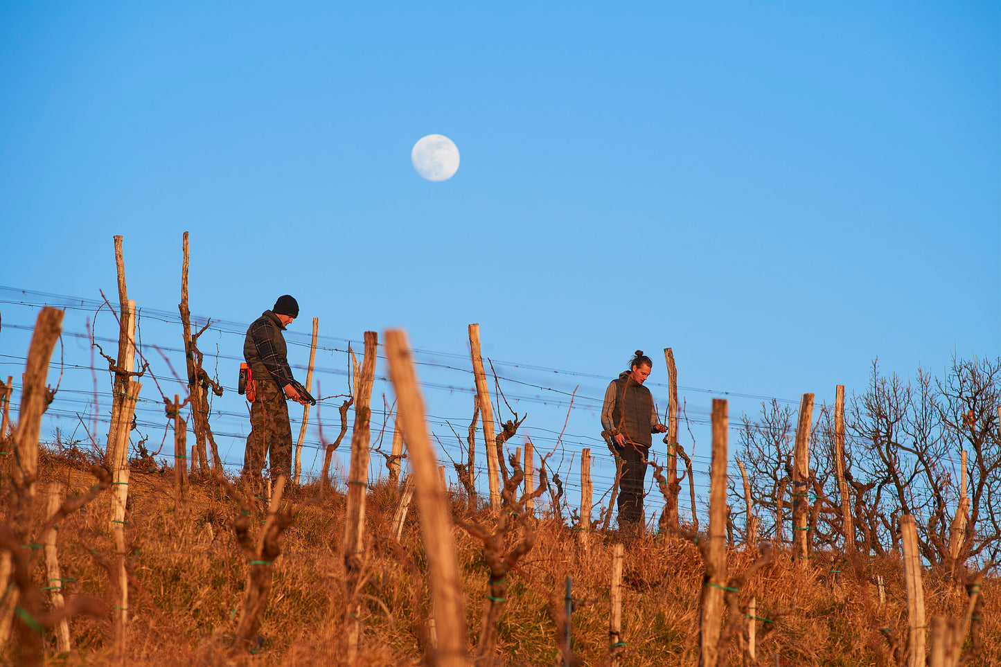Vintner Spotlight with EDI SIMČIČ
